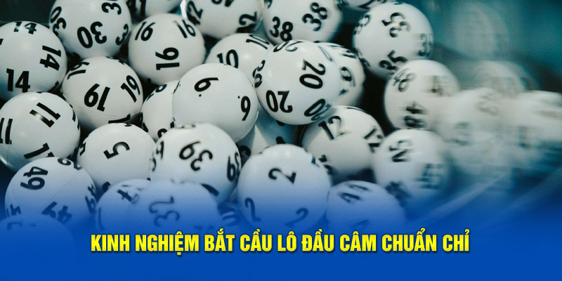 Kinh nghiệm bắt cầu lô đầu câm chuẩn chỉ