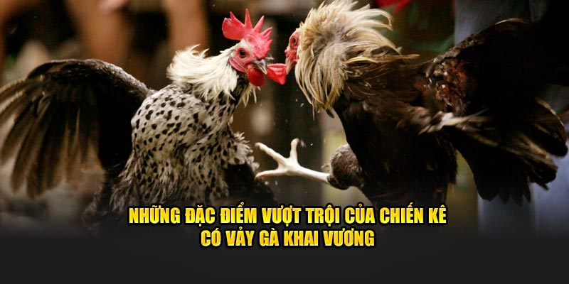 Những đặc điểm vượt trội của chiến kê có vảy gà khai vương