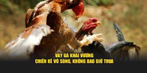 Vảy Gà Khai Vương - Chiến Kê Vô Song, Không Bao Giờ Thua